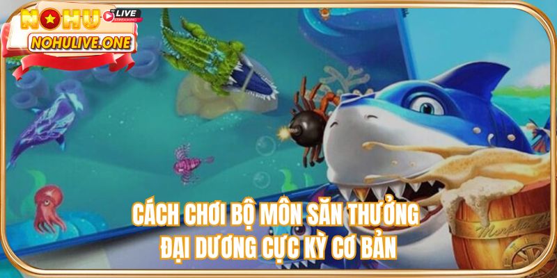 Cách chơi bộ môn săn thưởng đại dương cực kỳ cơ bản
